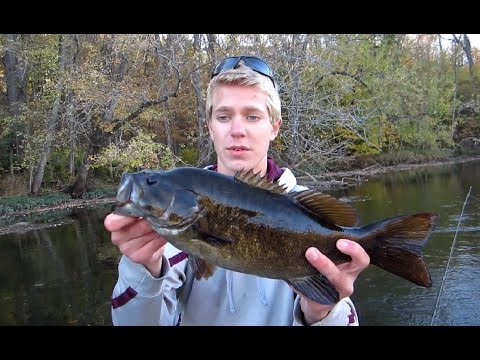 Can 3-Inch Senko Catch Smallmouth Bass? + Red Breast Sunfish