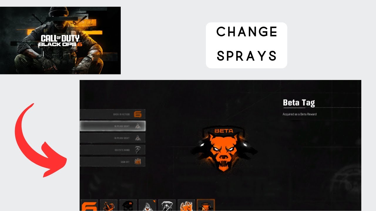 How to Change Sprays in Call of Duty Black Ops 6 - YouTube