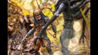 Toy Photography At Forrest Nature Preserve (Tiffin, OH) Toy Photography At Forrest Nature Preserve (Tiffin, OH)