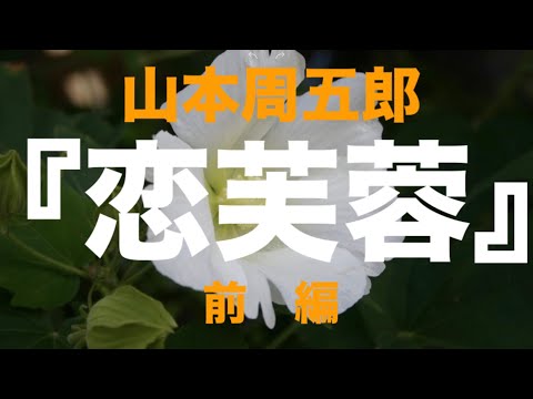 朗読『恋芙蓉』前編　作　山本周五郎