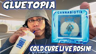 This GLUETOPIA Had TOP TIER EFFECTS!!! CBX Cannabiotix COLDCURE Solventless Live Rosin Review!