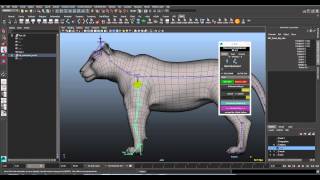Tiger Rigging with CDK