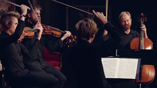 Danish String Quartet plays Beethoven quartet in B flat major, op. 18 no. 6, 4th mov. Profile