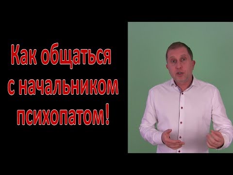 Как общаться с начальником психопатом.