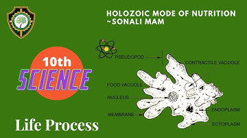 Holozoic Mode of Nutrition I Life Process NCERT Class 10 Science (Biology) Chapter 6 CBSE I
