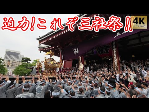 大迫力!これぞ浅草 三社祭 浅草西町会 2024 Tokyo,Sensoji Temple. Asakusa Shrine Sanja Matsuri Festival