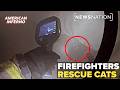 Orange County firefighters rescue cats from burning building | American Inferno