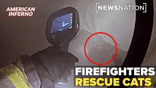 Firefighters rescue cats from burning building | American Inferno