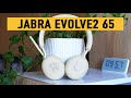 Обзор Jabra Evolve2 65 — топовая беспроводная гарнитура