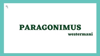 Paragonimus westermani | Lung fluke | Paragonimiasis | Morphology, Life Cycle, Diagnosis & Treatment