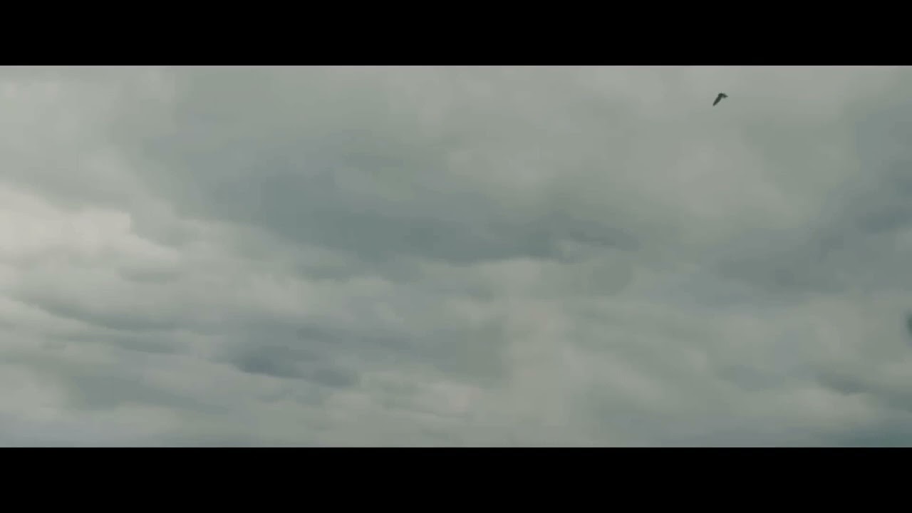 Prey Opening scene | Predator 2022