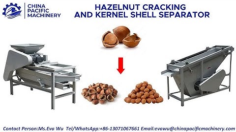 Hazelnut Cracking And Kernel Shell Separator |Hazelnut Kernel Shell Separator|Hazelnut Sheller