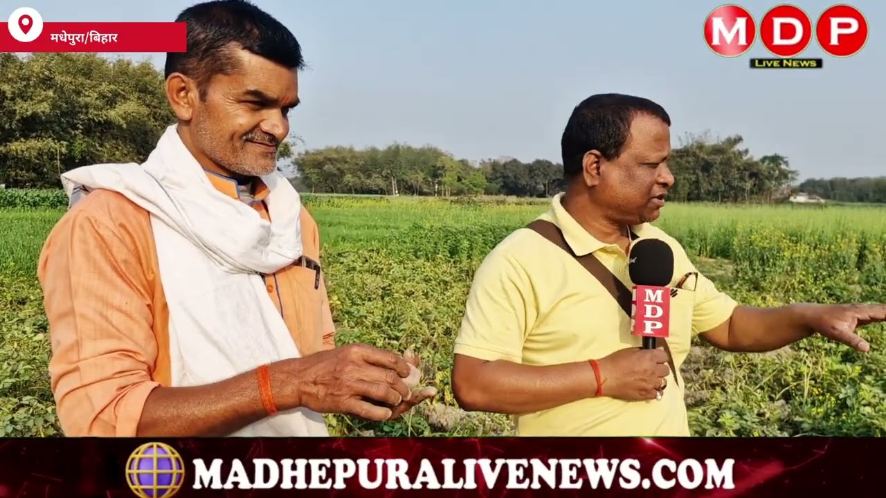 एंटीऑक्सीडेंट और मिनरल्स से भरपूर आलू की खेती मुख्य धारा में क्यों नहीं आ पाती है,जबकि लागत पारंपर