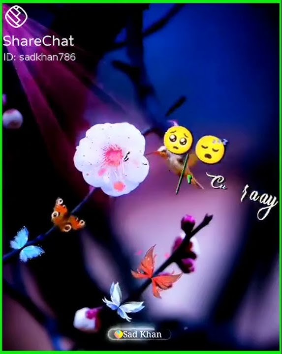O Maine Kyun Pyar Kiya Yeh Dil Bekarar Kiya 💞o maine kyun pyar kiya yeh dil bekarar status song// chupke se koi