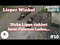 🔥 #LS22: Dicke Lippe riskiert beim Paletten Laden #10 - #LieperWinkel 🔥