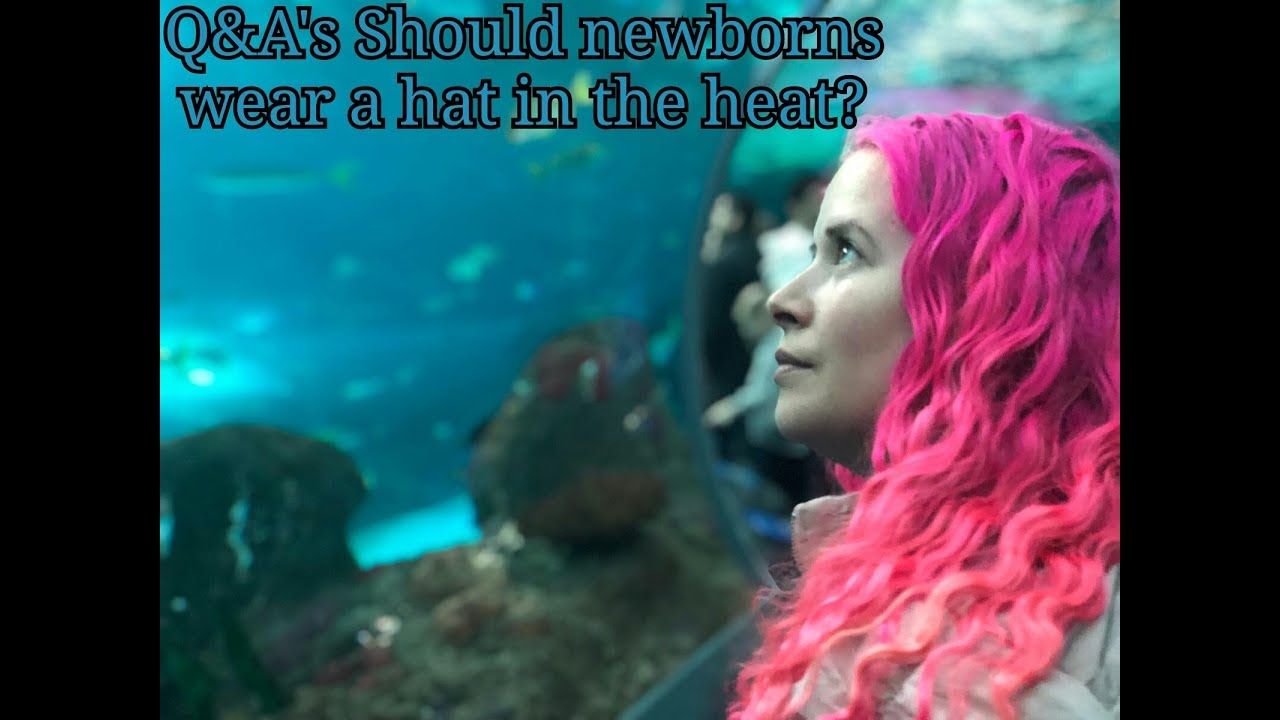 Q & A's Should newborns wear hats in the heat? YouTube