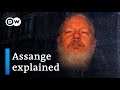 UN Rapporteur: Assange shows 'signs of psychological torture' | DW News