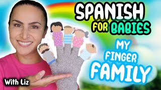 Baby Spanish Learning! Sing, Sign, and Learn with the Finger Family  | Interactive Spanish Lesson by Spanish Immersion for Babies & Toddlers - with Liz 152,189 views 10 months ago 9 minutes, 19 seconds