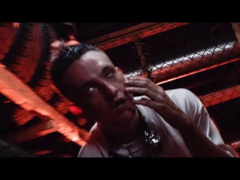 noxek - DIMWIT