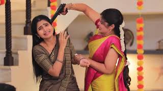Manasellam Ep - 259 Webisode Nov 22 2025 Zee Tamil