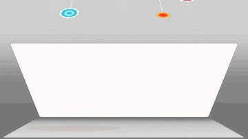 물고기  종류  Tip!!