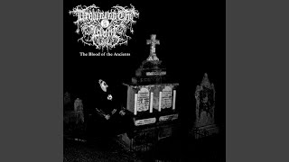 Night of Neverending Turmoil - Drowning the Light