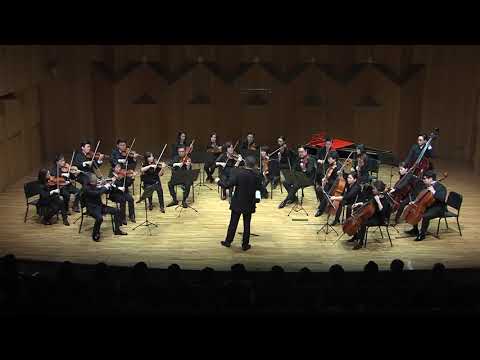 Suk Serenade for strings (4th mvt) by Thierry Huillet and Korean Chamber Orchestra live