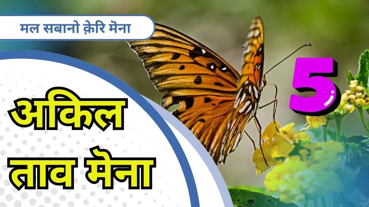 अकिलताव मॆना || आपकी जिंदगी बदल सकती है || #5 मल सबानो क़ेरि मॆना