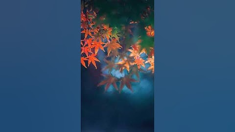 Beautiful autumn leaves Animated