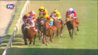 3Racingtips Videos | Mauritius Horseracing Meeting 36 - Race 7.flv