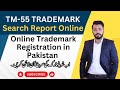 TM-55 Trademark Search Report | Online Trademark Search