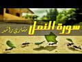 سورة النمل كاملة حدر الشيخ مشاري بن راشد العفاسي 