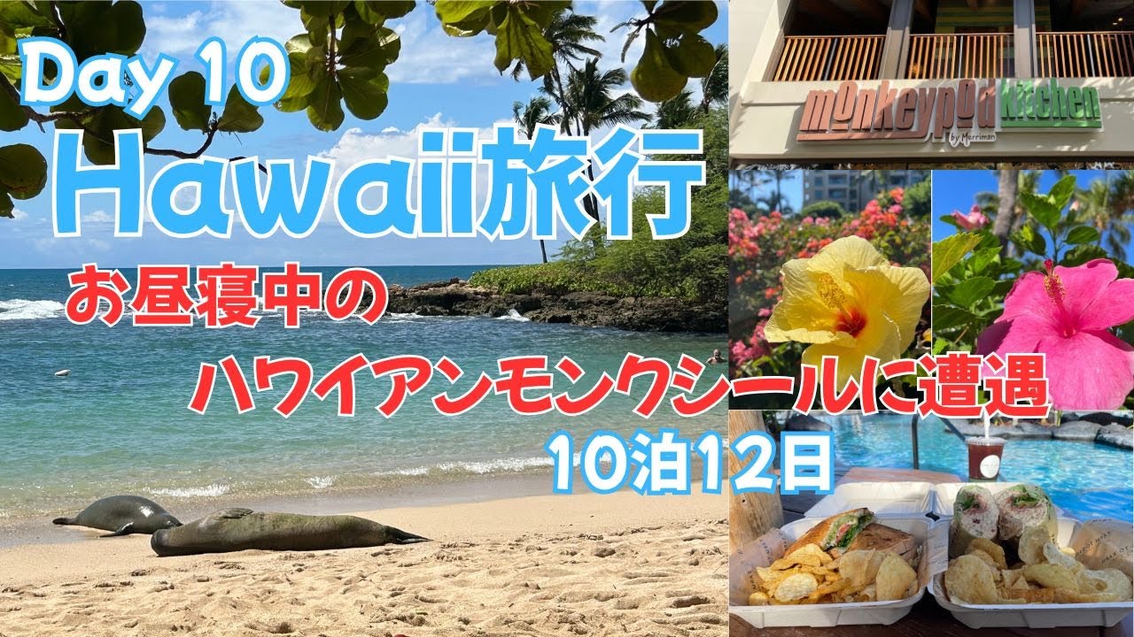 《4K》【HAWAII  Vlog ⑩】10泊12日 コオリナリゾート編（ハワイアンモンクシールとホヌに遭遇）/11日毎日違うアサイーボウル食べる計画/マリオットコオリナビーチクラブオーシャンビュー泊