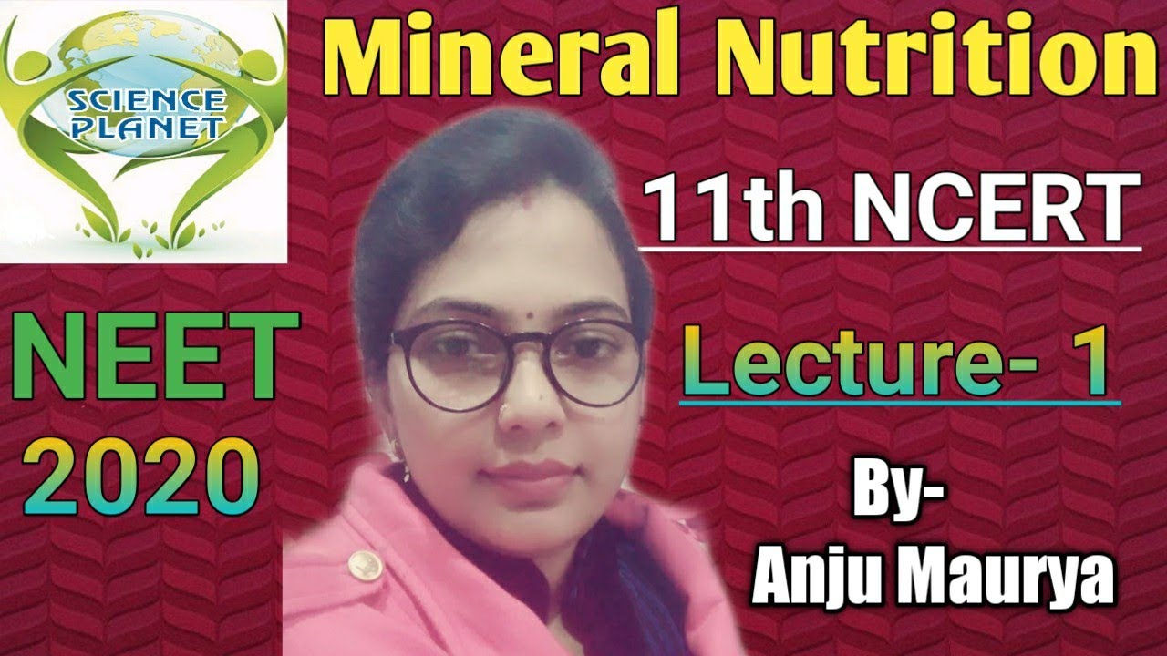 Quick NCERT Revision!(NEET 2020)  Mineral Nutrition! Lecture-1 By- Anju Maurya!