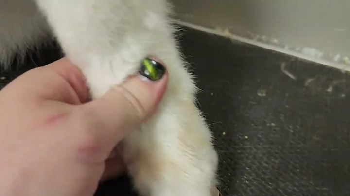white nails after