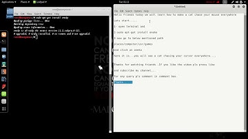 How to make a cat chase your cursour in linux
