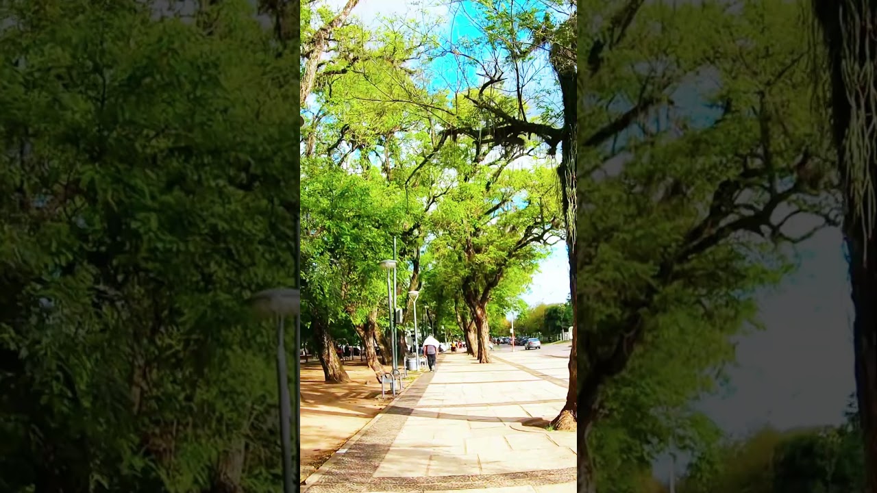 🌿 Hidden Nature in the City | Argentina Walk