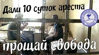 Век воли не видать. Прощай свобода дали 10 суток ареста.