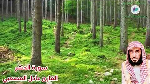 سورة الحشر القارئ عادل حسين المصعبي