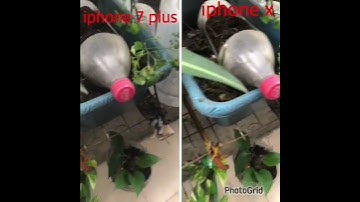 iphone 7 plus vs iphone x camera comparison