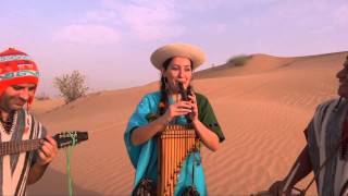 Amorosa Palomita - Huayno chords