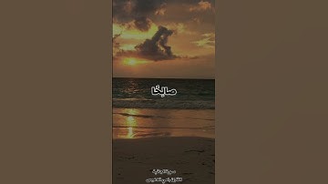 من عَمِلَ صالِحَاً فَلِنَفسِهِ ، ما تيسر من سورة الجاثية ، للقارئ رامي الدعيس .
