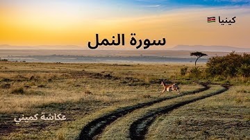 سورة النمل | تلاوة أفريقية خاشعة بصوت عكاشة كميني 🇰🇪