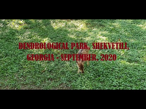 Video: What are dendrological parks and botanical gardens
