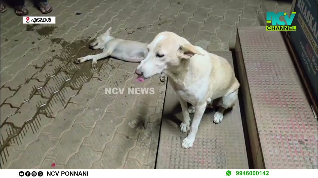 കുഞ്ഞ് മരിച്ചതറിയാതെ... എടപ്പാള്‍ ടൗണില്‍ നാട്ടുകാര്‍ സാക്ഷിയായത് കരളലിയിക്കുന്ന കാഴ്ചക്ക്.