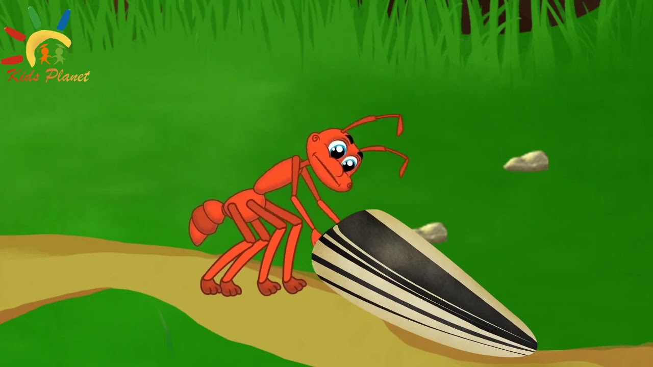 La Cigale et la Fourmi Fable de La Fontaine dessin animé en français YouTube La Cigale et la Fourmi Fable de La Fontaine dessin animé en français YouTube