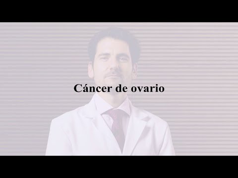 ¿Qué es el