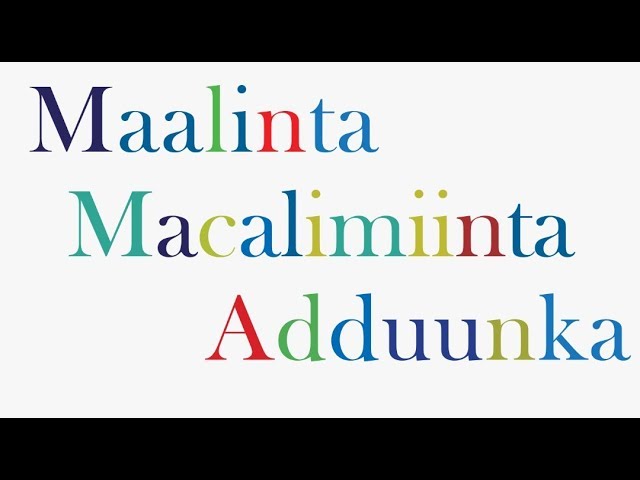 Maalinta Macalimiinta Adduunka