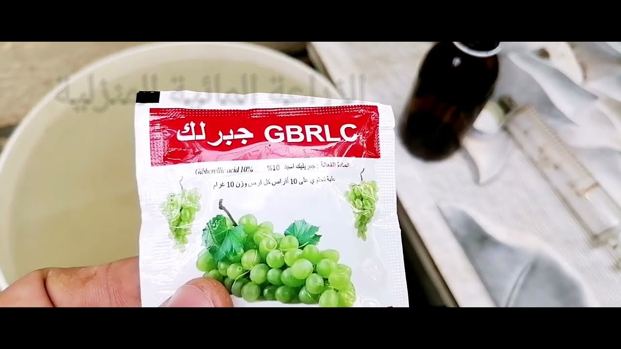 تطبيق الرش ب (الجبريلين) او حامض (الجبريليك اسيد) وهو من منظمات النمو .