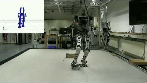 Humanoid Robot LOLA real time collision avoidance
